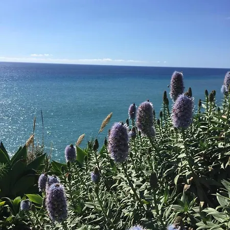 Calheta Ocean View 2 - Air Condition